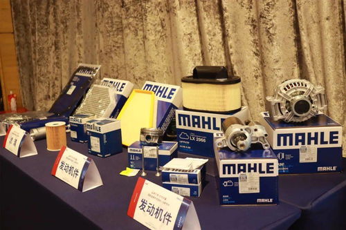 品牌引領 合作共贏 | 極配品牌專項活動丨馬勒專場圓滿落幕 & 技術交流